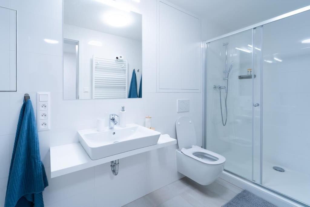 City Park Apartment - Brünn  Kültér fotó