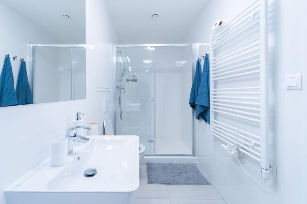 City Park Apartment - Brünn  Kültér fotó